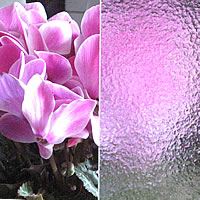 標準はカタガラス