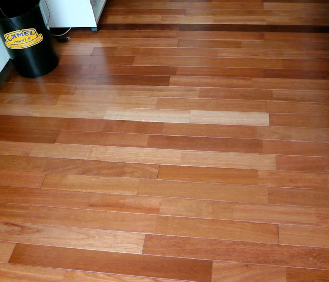 F邸ケンパス exfjt004